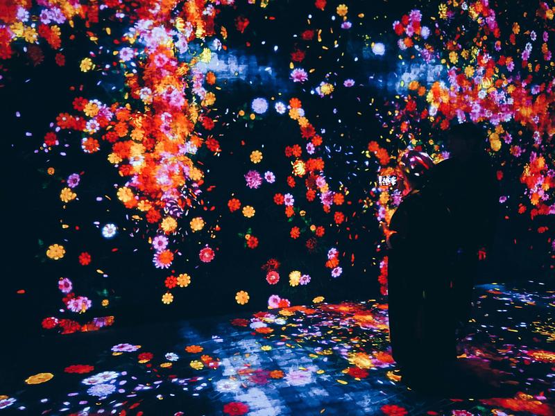 teamLab Borderless