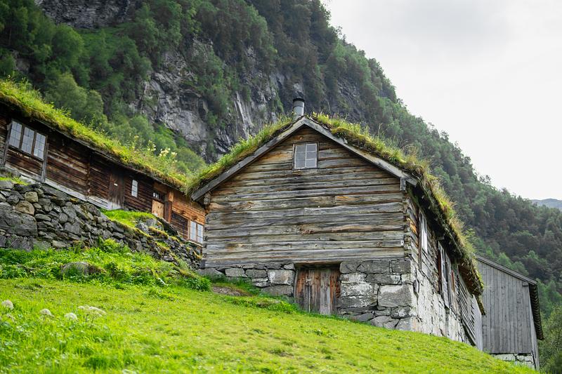 Skageflå